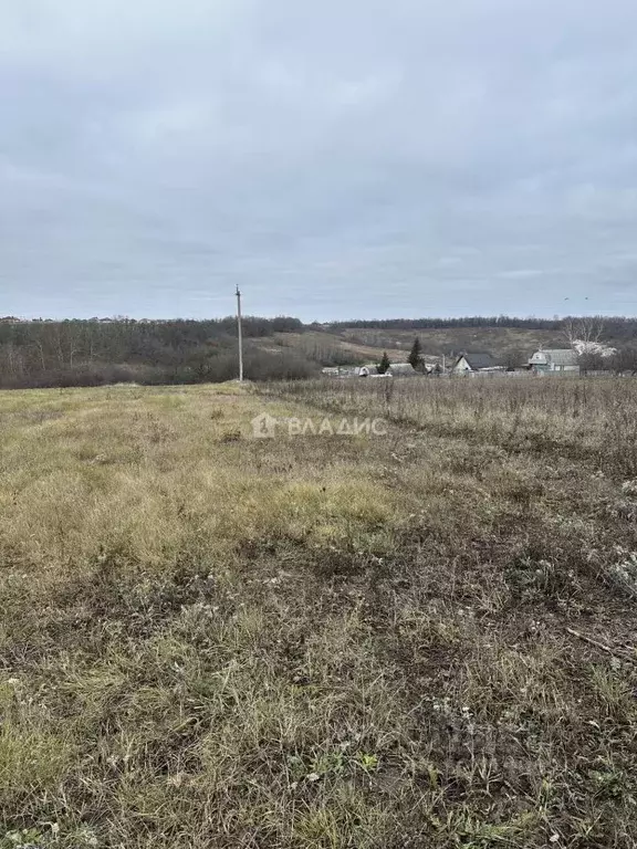 Участок в Белгородская область, Белгородский район, Крутологское ... - Фото 2