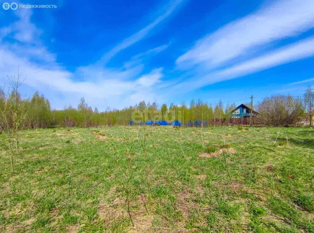 Участок в Череповецкий район, муниципальное образование Югское, село ... - Фото 1