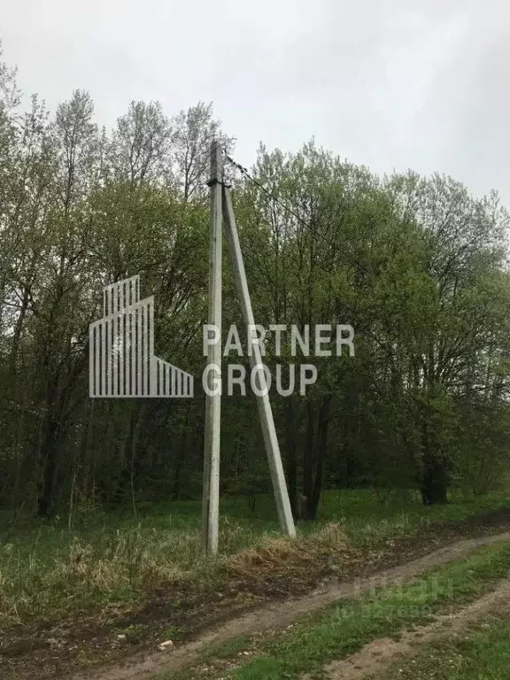 Участок в Тульская область, Алексин городской округ, д. Новоселки  ... - Фото 2