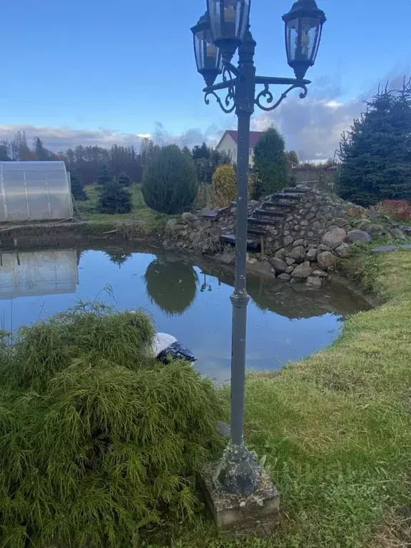 Участок в Псковская область, Плюсский муниципальный округ, д. Андромер ... - Фото 2