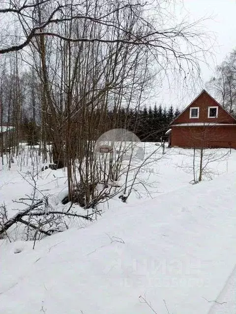 Участок в Новгородская область, Демянский муниципальный округ, д. ... - Фото 0