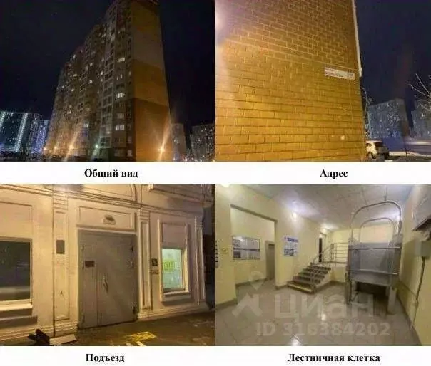 2-к кв. Санкт-Петербург просп. Королева, 64к2 (55.8 м) - Фото 1