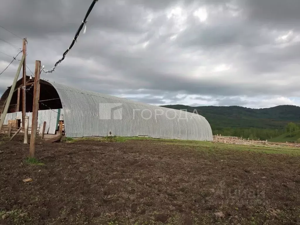 Участок в Алтайский край, Алтайский район, пос. Казанка  (11880.0 ... - Фото 1