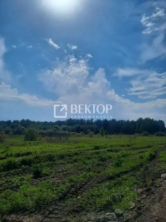 Участок в Костромская область, Кострома Соколиное Гнездо кп,  (13.01 ... - Фото 0