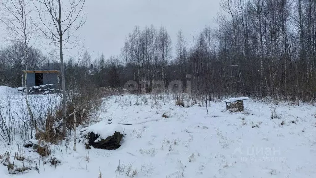 Участок в Смоленская область, Смоленск Тепловик СТ,  (8.2 сот.) - Фото 1