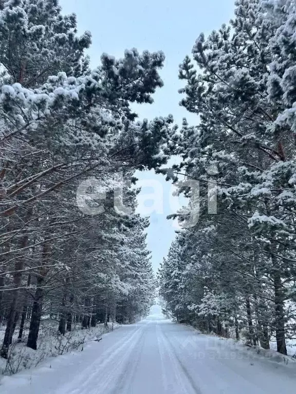 Участок в Красноярский край, Емельяново городское поселение, Гринбург ... - Фото 1