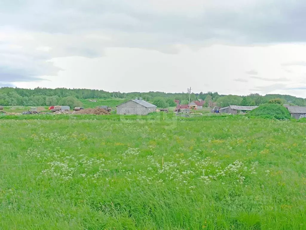 Участок в Архангельская область, Холмогорский муниципальный округ, д. ... - Фото 1