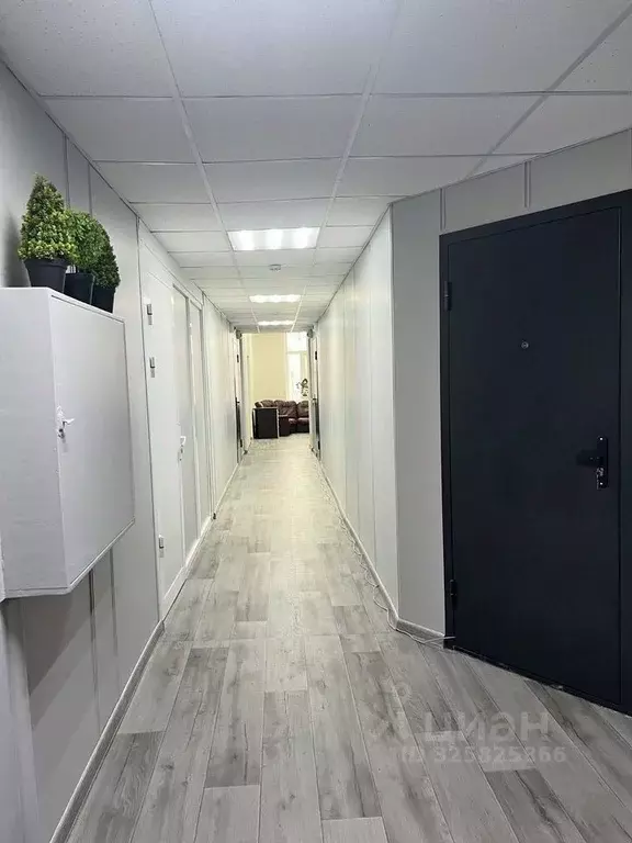 Помещение свободного назначения в Москва Новая Басманная ул., 10С1 (41 ... - Фото 2