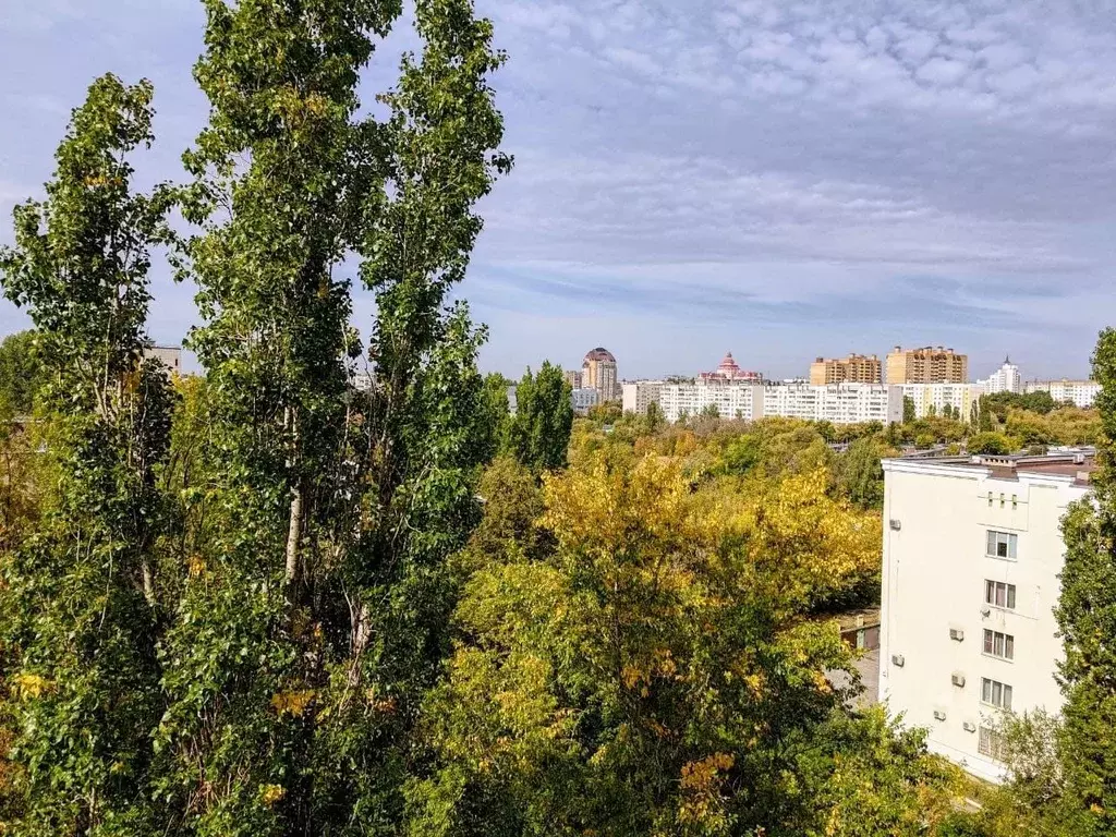 1-к кв. Липецкая область, Липецк ул. М. Горького, 15 (34.7 м) - Фото 0