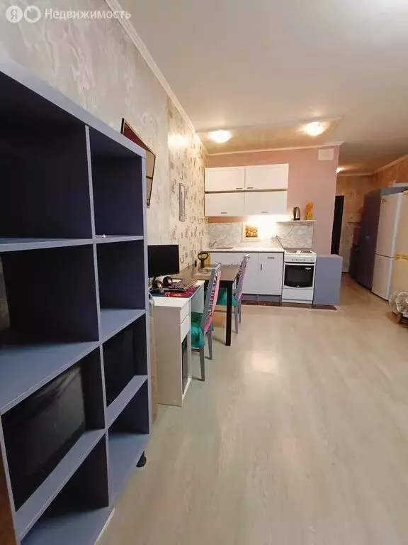 Квартира-студия: Московская область, городской округ Балашиха, деревня ... - Фото 1