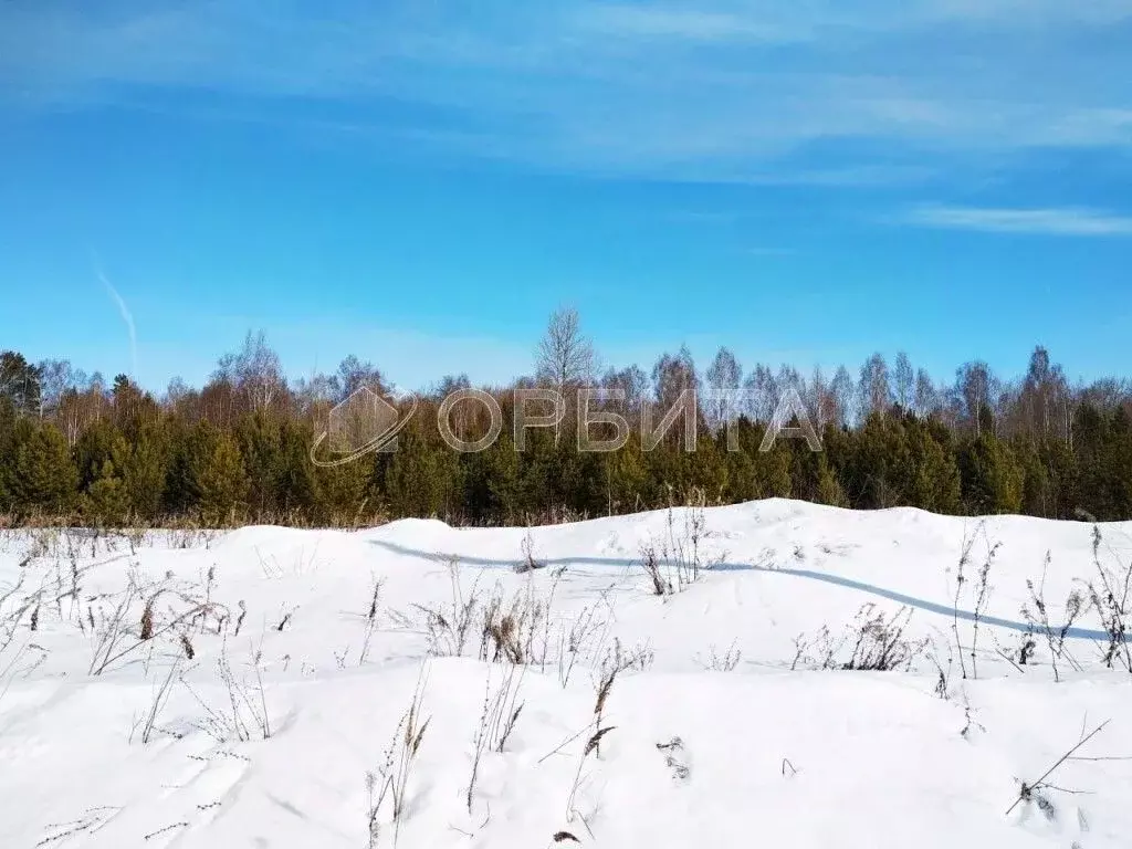 Участок в Тюменская область, Нижнетавдинский район, д. Московка  (10.0 ... - Фото 1