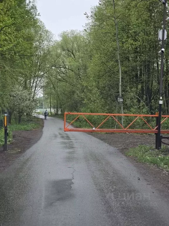 Участок в Москва Остафьево-2 СПК,  (6.0 сот.) - Фото 2