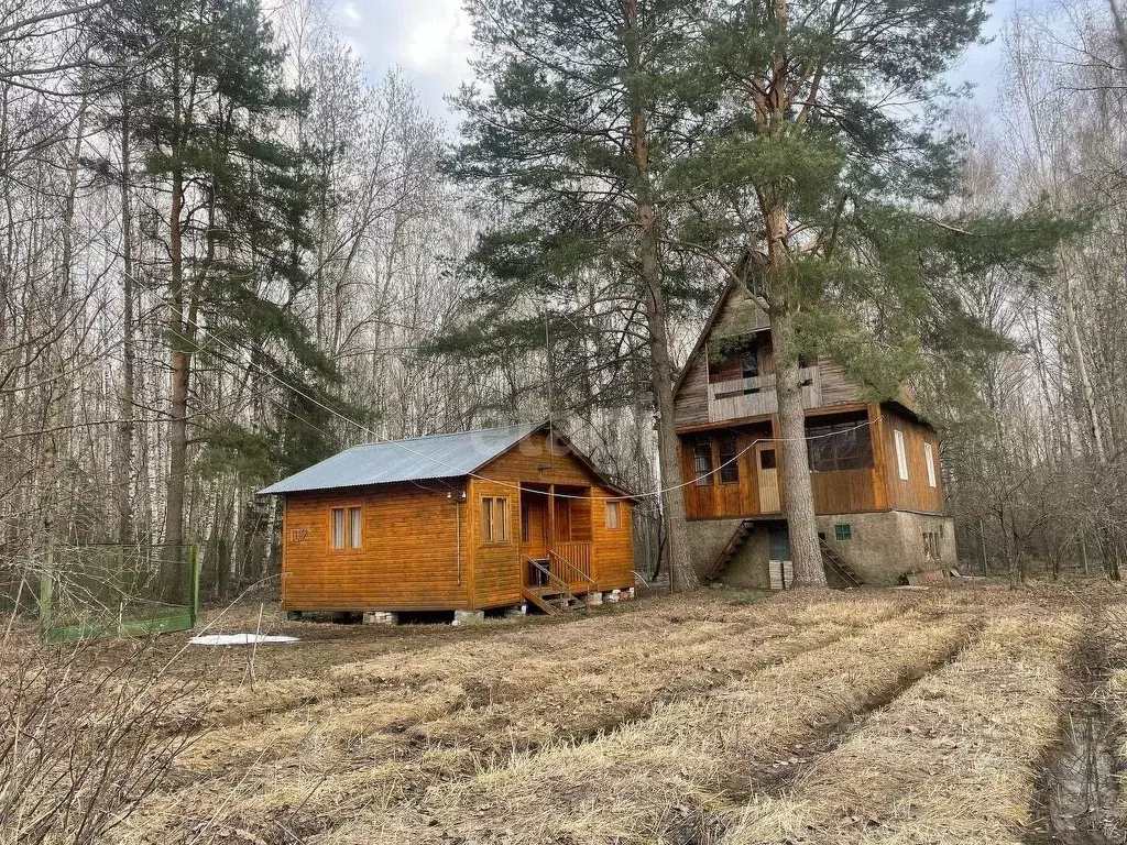 Купить Дачу В Раменском Районе Донино