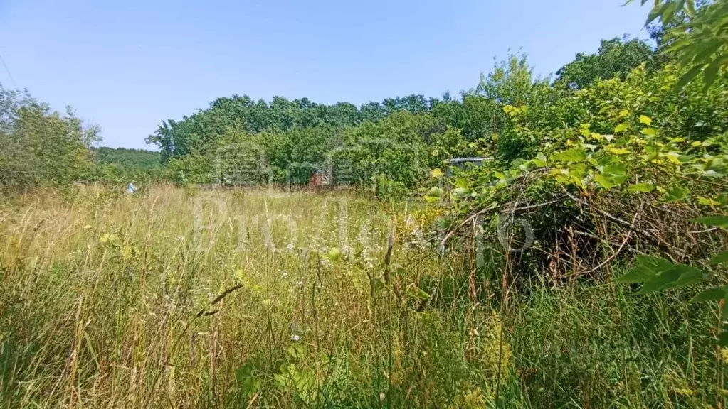 Участок в Курская область, Курск Юбилейное садовое товарищество, 177 ... - Фото 1