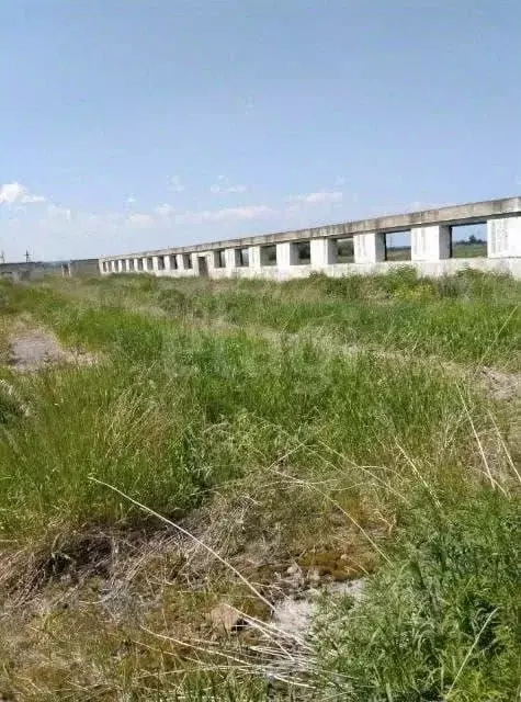 Склад в Красноярский край, Канский муниципальный округ, пос. Зеленый ... - Фото 1