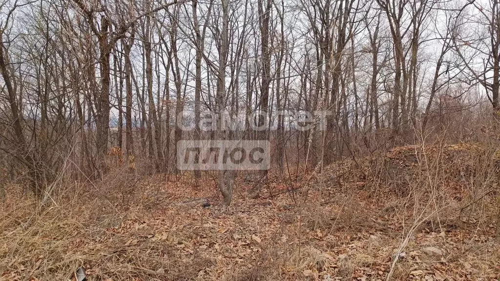 Участок в Приморский край, Артем пос. Артемовский,  (10.0 сот.) - Фото 1