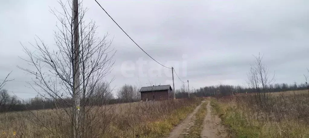 Участок в Ярославская область, Ярославский муниципальный округ, ... - Фото 1