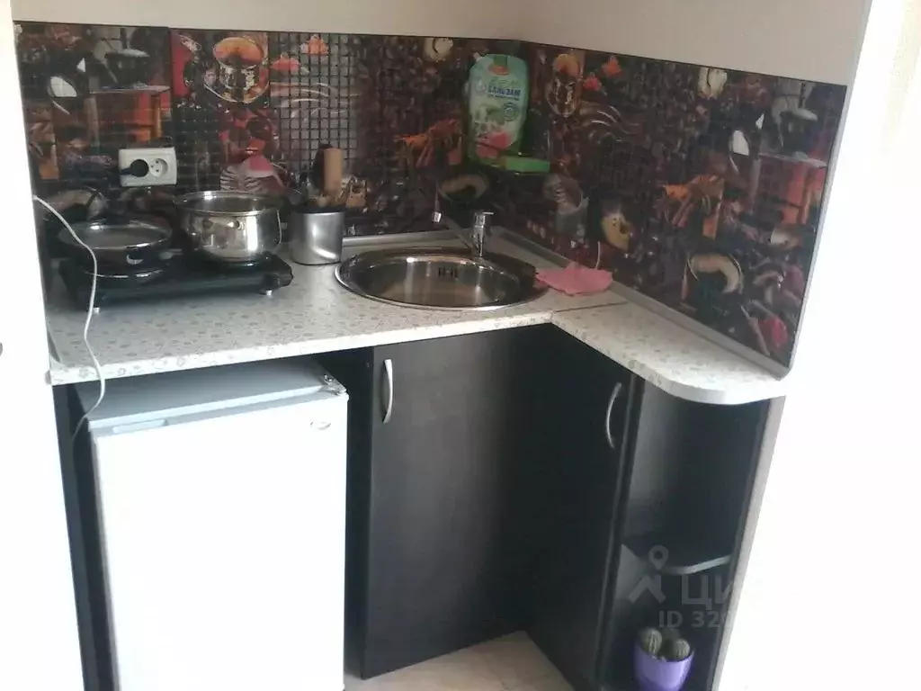 Студия Крым, Алушта пер. Коллективный, 7 (15.0 м) - Фото 2