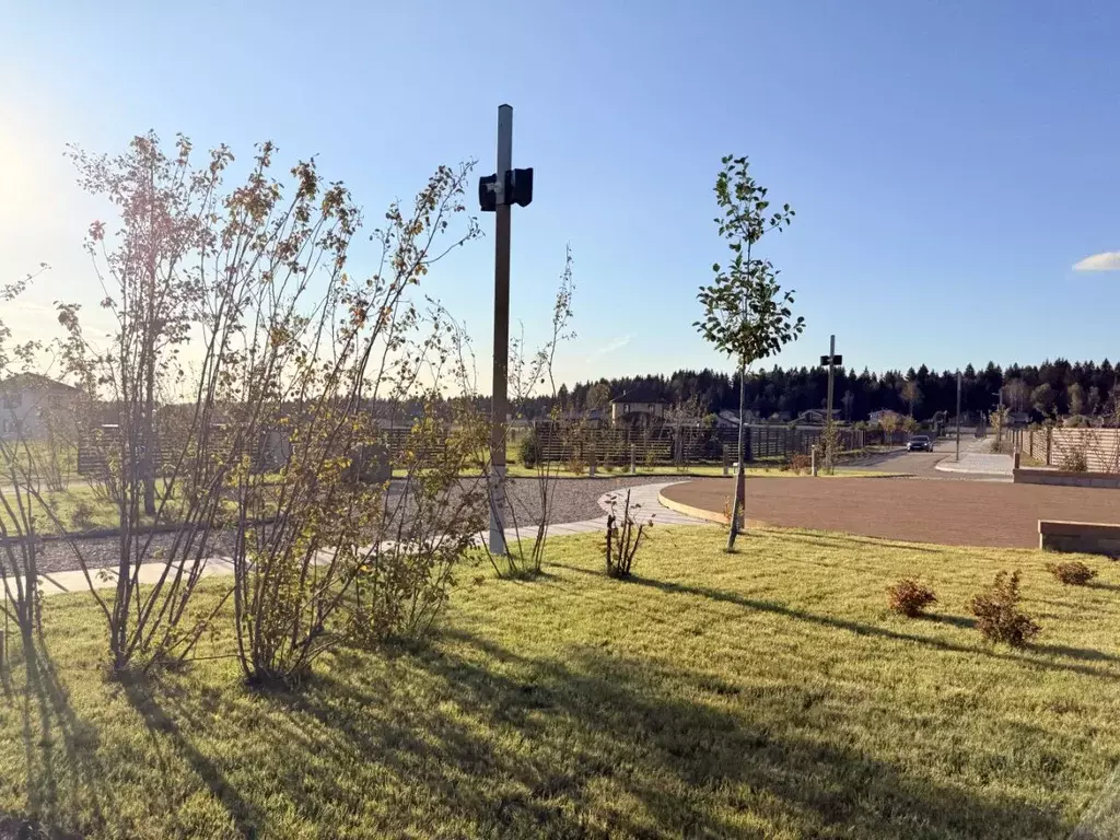 Участок в Московская область, Истра муниципальный округ, д. Алексино  ... - Фото 2