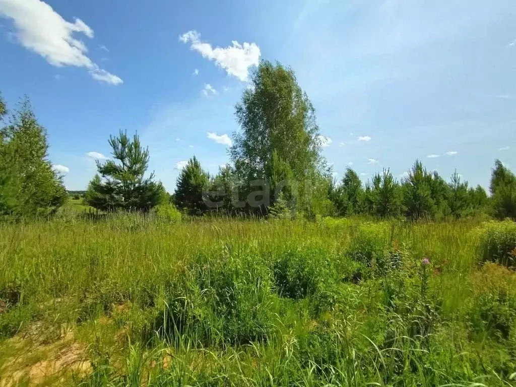 Участок в Владимирская область, Ковров Пригородная ул., 17 (9.5 сот.) - Фото 2