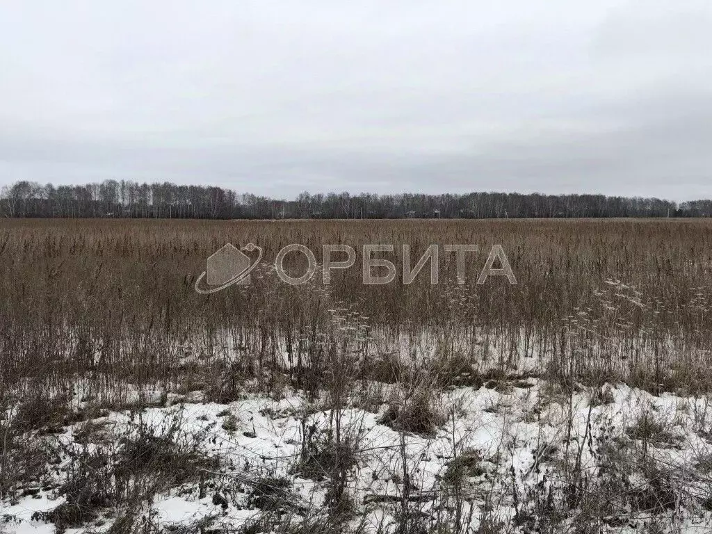 Участок в Тюменская область, Тюменский муниципальный округ, с. Ембаево ... - Фото 1