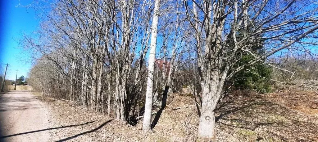 Участок в Ленинградская область, Приозерский район, Ларионовское ... - Фото 0