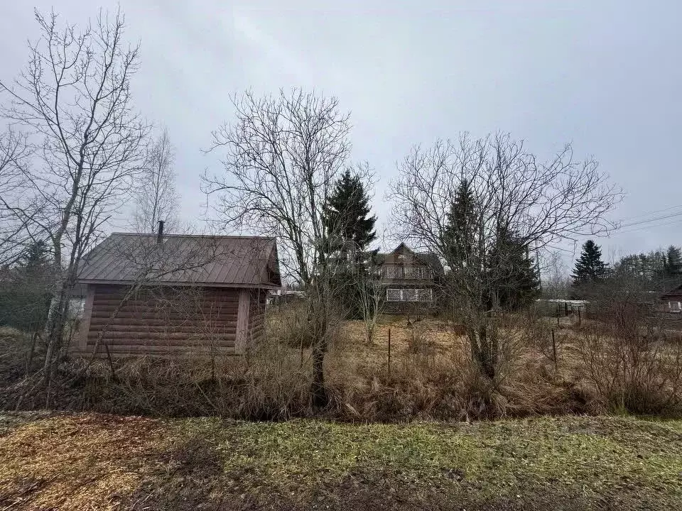 Участок в Ленинградская область, Тосненский район, Трубникоборское ... - Фото 1