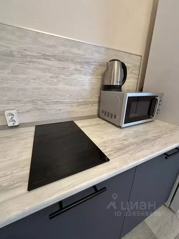 1-к кв. Пермский край, Пермь ул. Героев Хасана, 93Б (30.7 м) - Фото 2