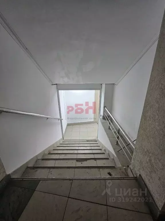 Торговая площадь в Пензенская область, Пенза ул. Антонова (145 м) - Фото 1
