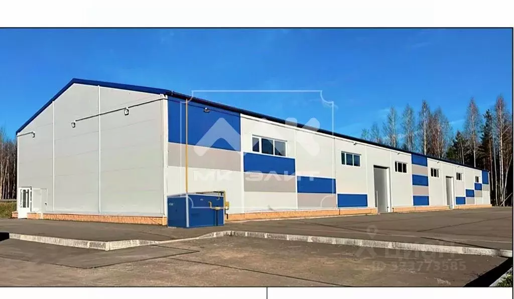 Торговая площадь в Ленинградская область, Всеволожск ш. Дорога Жизни, ... - Фото 1