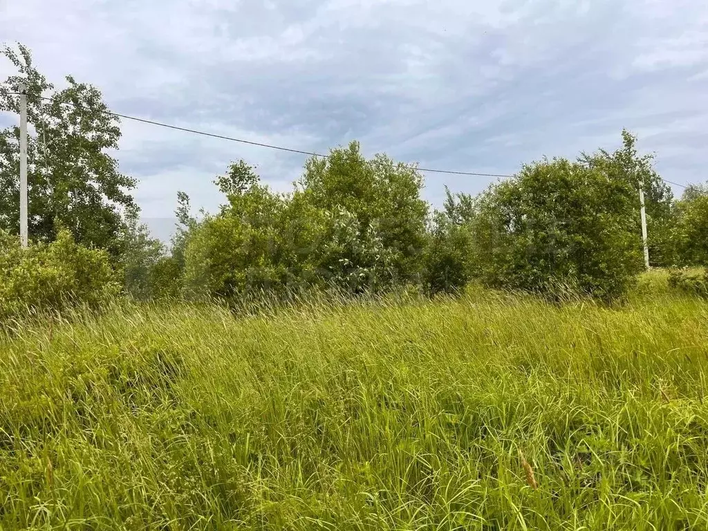 Участок в Новгородская область, Боровичи Западный мкр, 4 (12.0 сот.) - Фото 1