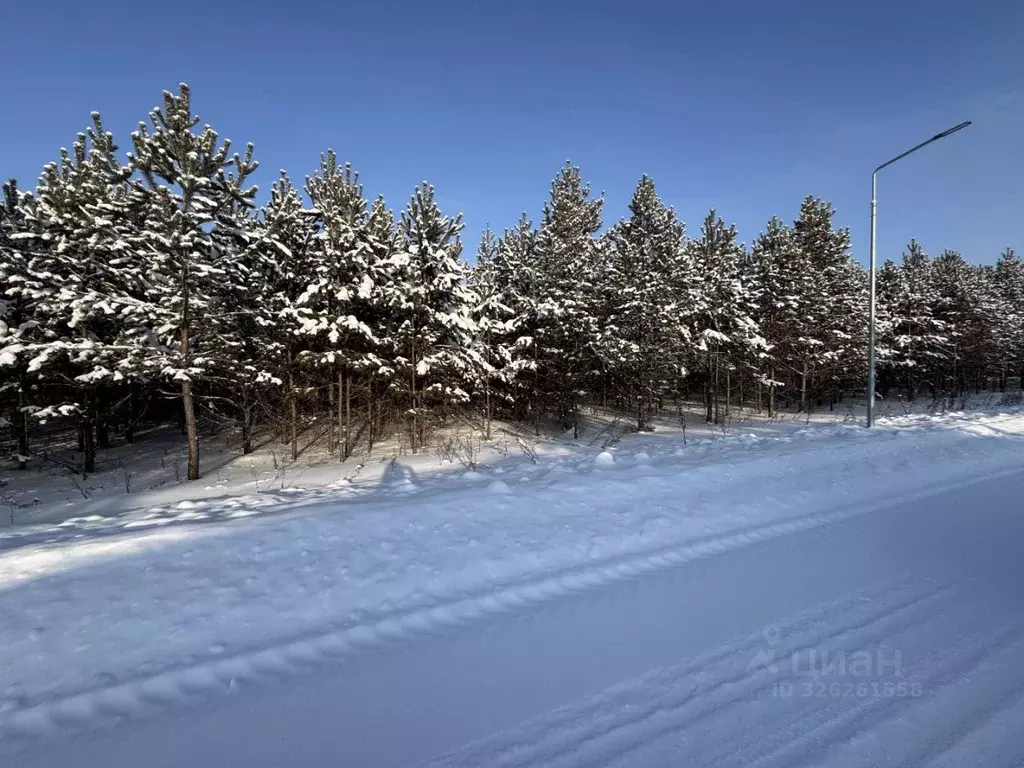 Участок в Свердловская область, Белоярский муниципальный округ, пос. ... - Фото 1