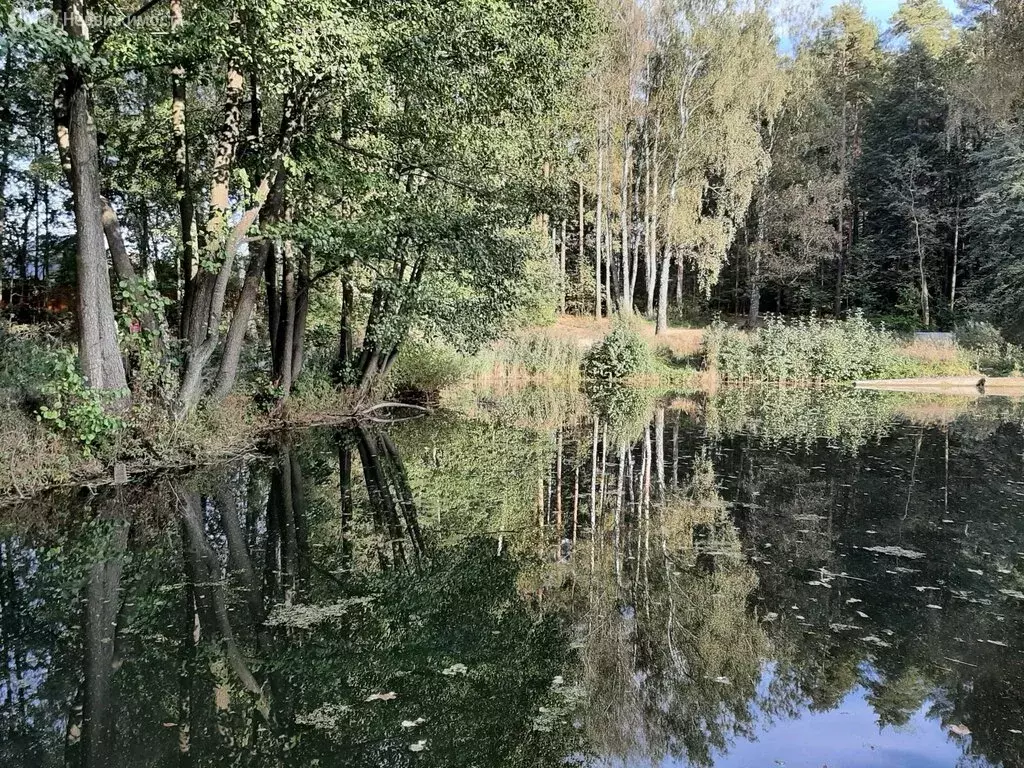 Участок в микрорайон Белые Столбы, Полевая улица (7.78 м) - Фото 2