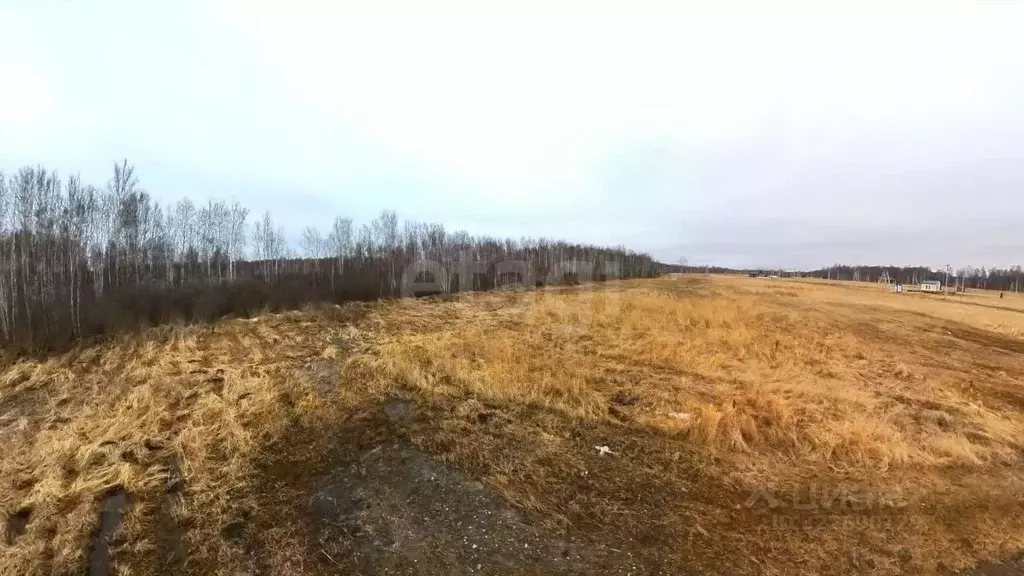 Участок в Тюменская область, Тюменский муниципальный округ, Дачи Хюгге ... - Фото 0