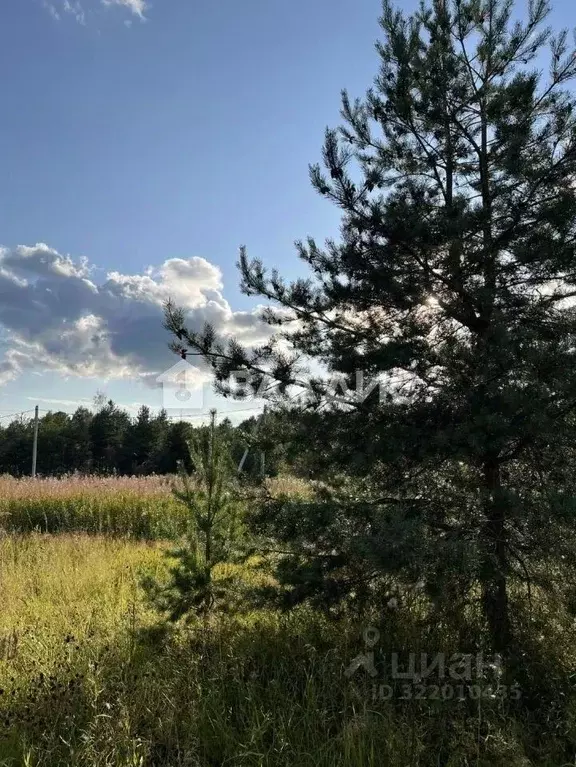 Участок в Ленинградская область, Всеволожский район, Лесколовское ... - Фото 2