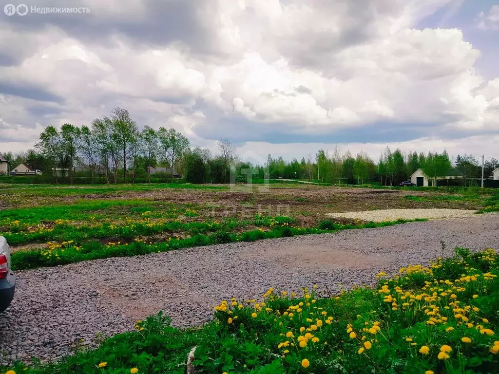 Участок в деревня Пустошка, Садовая улица, 4А (12.8 м) - Фото 0