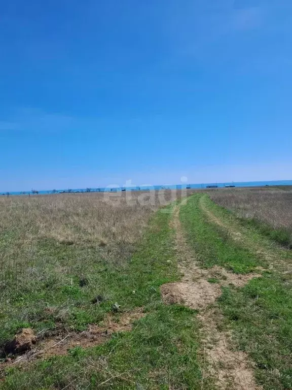 Участок в Крым, Черноморский район, с. Окуневка  (6.7 сот.) - Фото 2