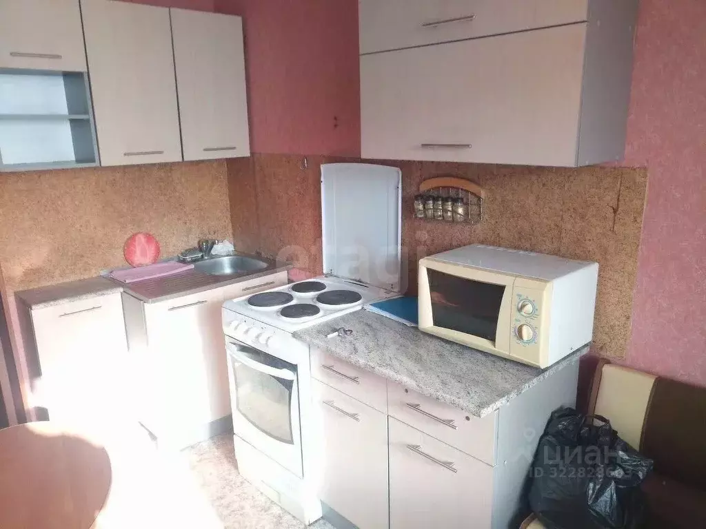 Студия Алтайский край, Барнаул Тимуровская ул., 60 (18.0 м) - Фото 2