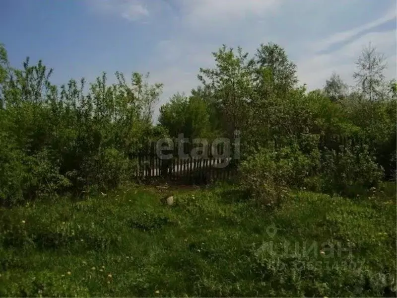 Участок в Ростовская область, Неклиновский район, ... - Фото 2