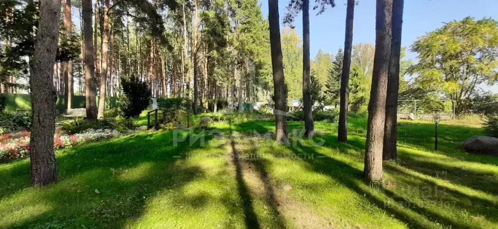 Участок в Брянская область, Брянск Западная ул. (50.0 сот.) - Фото 0