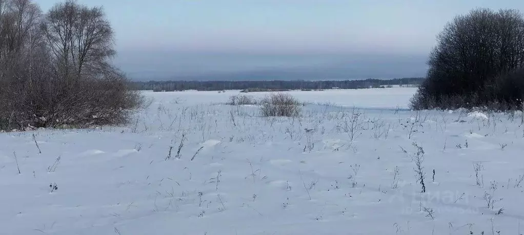 Участок в Московская область, Можайский муниципальный округ, д. Сельцы ... - Фото 1