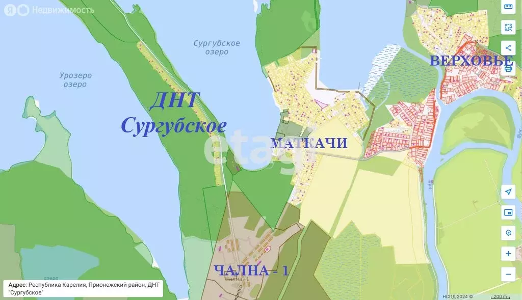 Дом в Шуйское сельское поселение, ДНТ Сургубское (96 м) - Фото 0