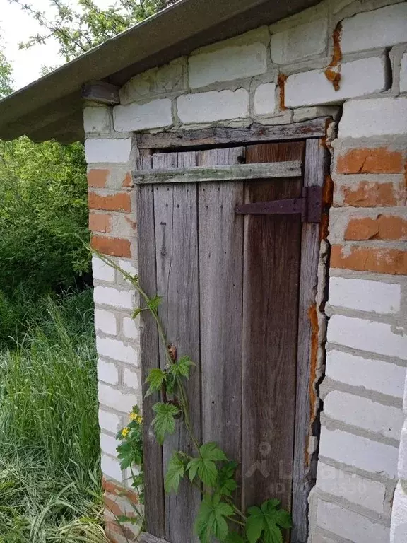 Дом в Белгородская область, Яковлевский городской округ, Томаровка пгт ... - Фото 1