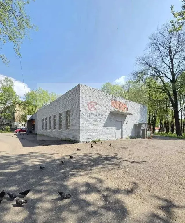 Помещение свободного назначения в Московская область, Краснозаводск ... - Фото 1