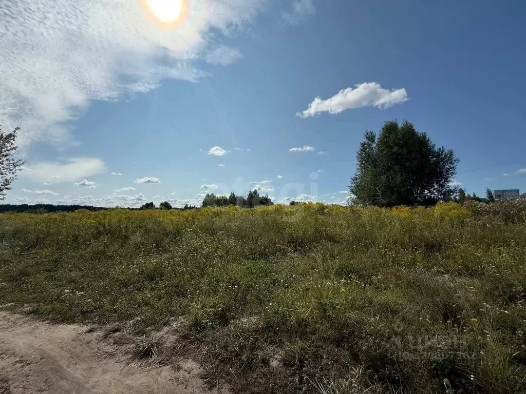 Участок в Брянская область, Брянск Донская ул. (12.0 сот.) - Фото 1