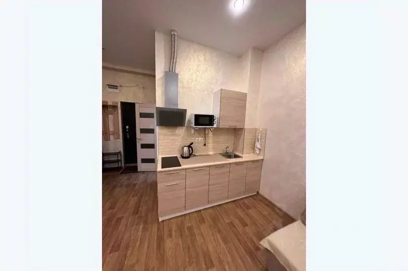1-к кв. Краснодарский край, Сочи Веселая ул., 82/1 (30.0 м) - Фото 1