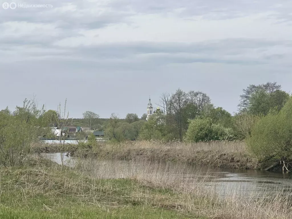 Участок в муниципальное образование Брызгаловское, село Усолье, 43 ... - Фото 0