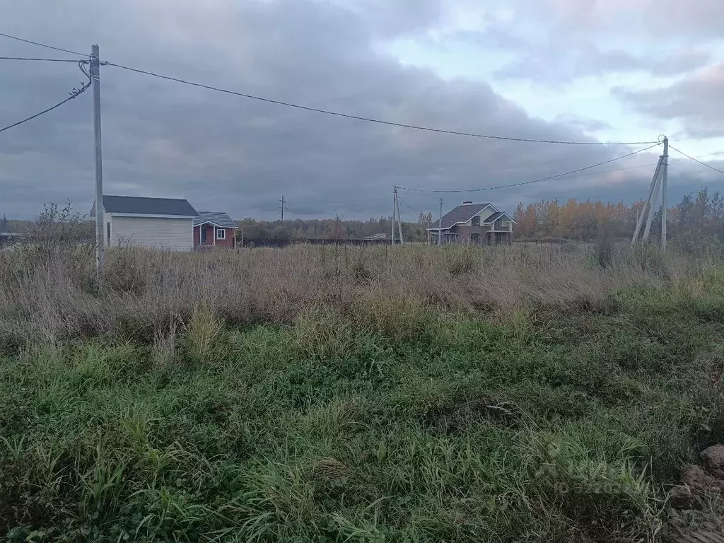 Участок в Новгородская область, Новгородский район, Ермолинское с/пос, ... - Фото 2