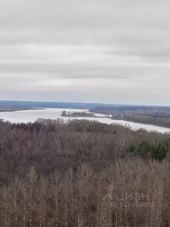 1-к кв. Ярославская область, Ярославль ул. Пашуковская, 9 (32.36 м) - Фото 1