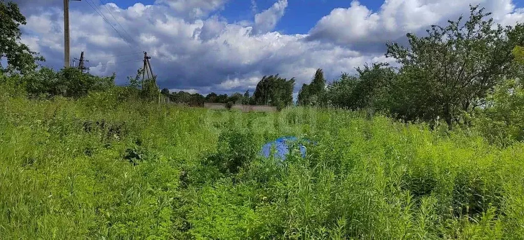 Участок в Тульская область, Щекинский район, Ломинцевское с/пос, д. ... - Фото 1